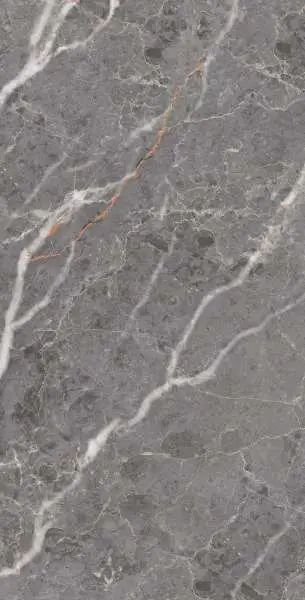 Lava Grey Polished 60x120 (48,96)