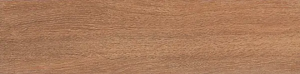 SG400200N Вяз коричневый 9,9х40,2