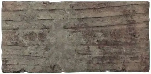 State Street (giallo/marrone) 10х20