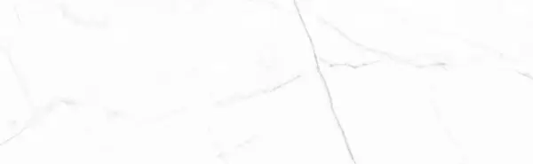 Vivid White Calacatta 29.75x99.55