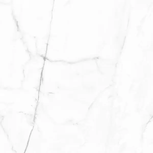 Vivid White Calacatta Pulido 59,55x59.55