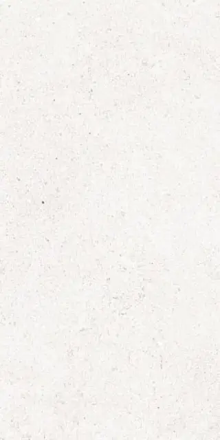 MANHATTAN WHITE AS/60X120X0,9/C/R