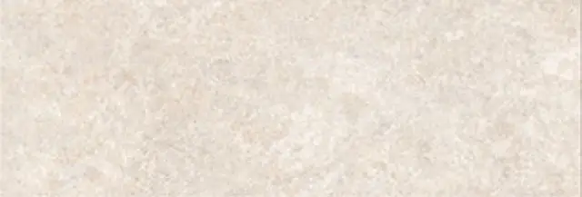 ALCHEMY EARTH/33,3X100/R