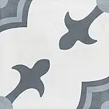 HAVANA WHITE HERALD/22,3