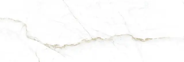 DUAL WHITE SP/33,3X100/R