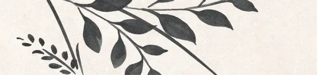 Levels Black Decor 1 Matt 6x25