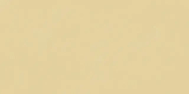 Blossom Sun Matt-X 60x120