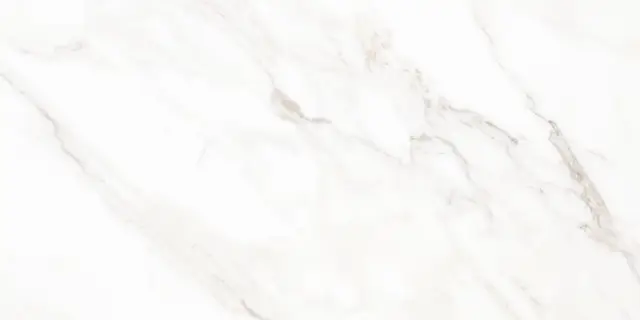 Calacatta Classic Dg Carving 60x120