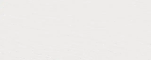 Ardesia Bianco A Spacco 5.6 Mm 120x300