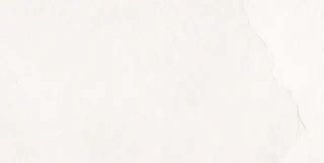 Керамогранит EC.Southrim bone 60*120