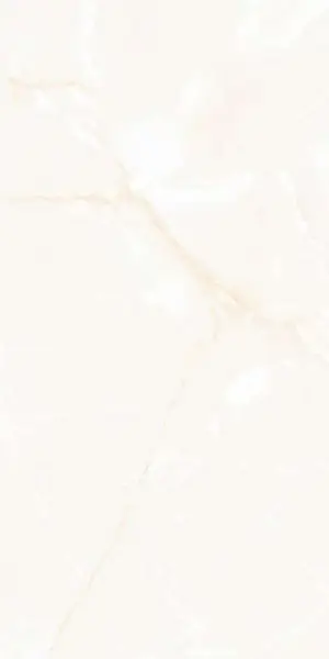 6001 Onyx Blanco Polished 60x120 (46,08)