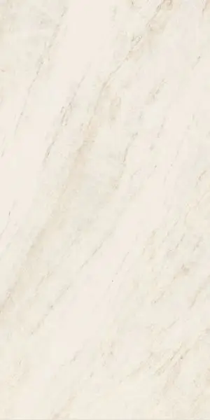 Oyster White Ret 60х120