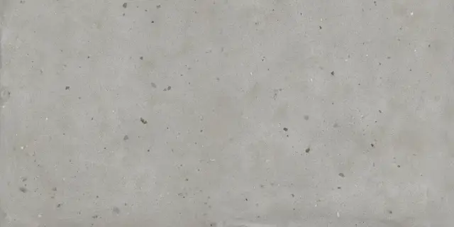 Avantgarde Silver 60x120