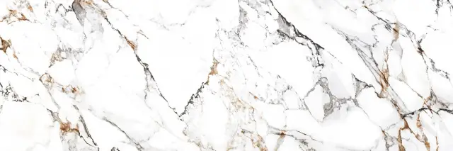 Arabescato Gold Glossy 80x240