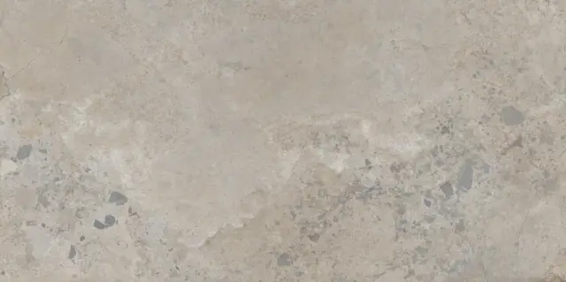 PIETRA VIVA TAUPE 60X120