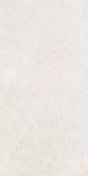 K948597R0001VTER SandStone Белый Мат R10A 60x120