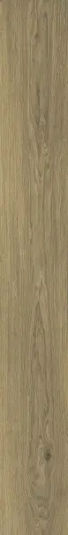 610010005706 Авангард Оак 20X160 Рет