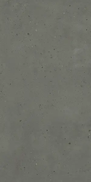 610010005696 Авангард Блэк 60X120 Рет