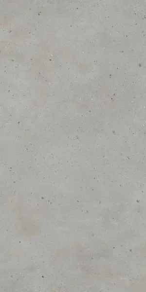 610010005694 Авангард Сильвер 60X120 Рет