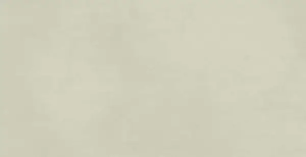 I859 Multiforme Salvia 40х80 RT