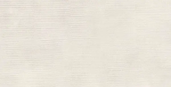 I869 Multiforme Inciso Gesso 40х80 RT