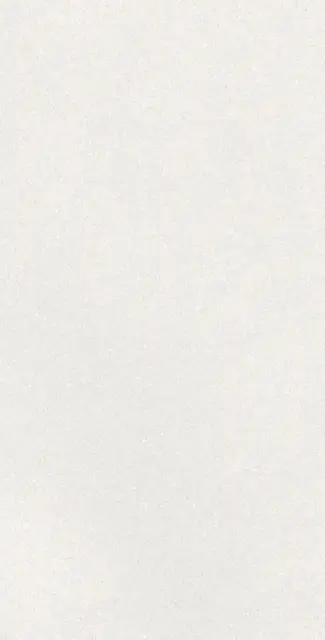 CAPRICE WHITE RECT 60X120