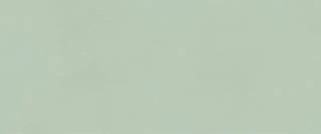 True Color Matcha Matt 50x120