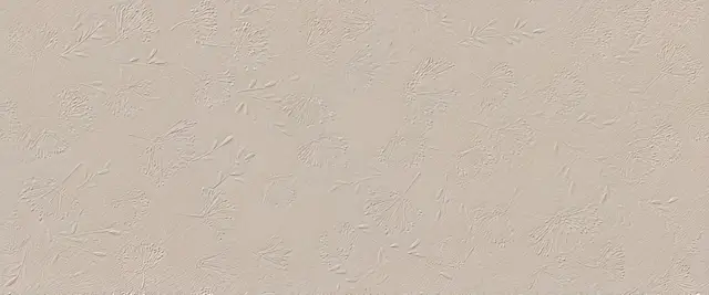 True Color Wind Fossil Matt 50x120