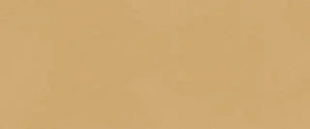 True Color Caramel Matt 50x120