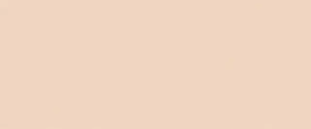 True Color Talc Matt 50x120