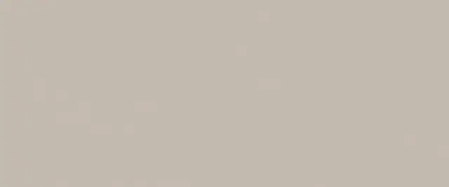 True Color Fossil Matt 50x120