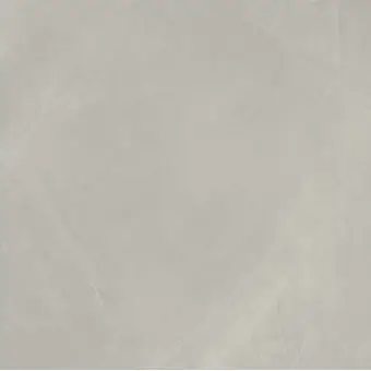 Italon Керамический гранит Continuum Керамогранит Silver 60x60 натуральный