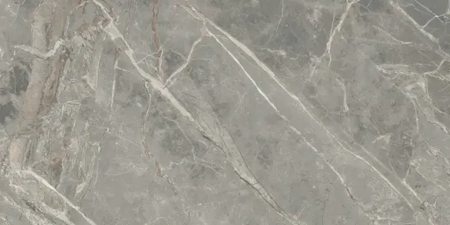 FLORIM-Luxury (Rex) Etoile De Rex Керамогранит Gris 60x120 глазурованный глянцевый