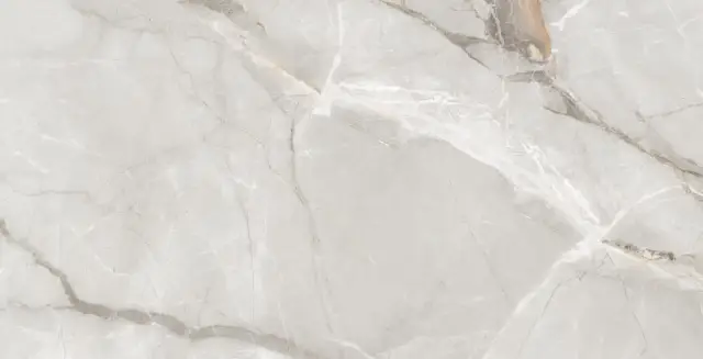 Dogma Project Antibacterial Керамогранит Regina Silk Natural 60x120 сатинированная