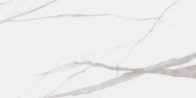 Dogma Project Antibacterial Керамогранит Calacatta Levigato 60x120 полированный