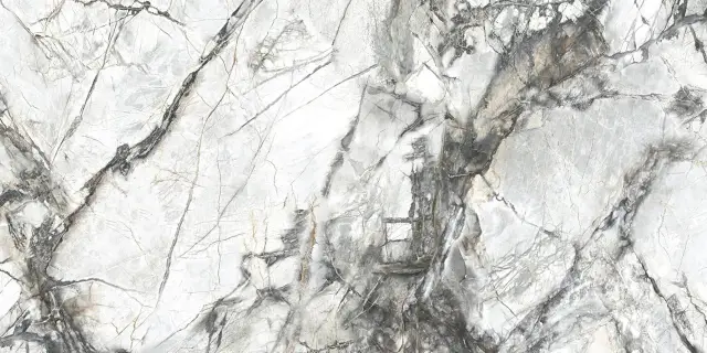 Dogma Project Antibacterial Керамогранит Invisible Solid Levigato 60x120 полированный