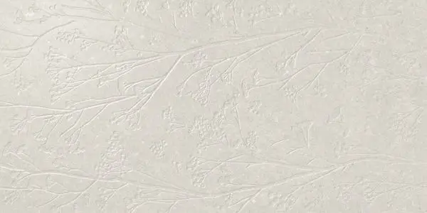 Divine White Rect 60x120