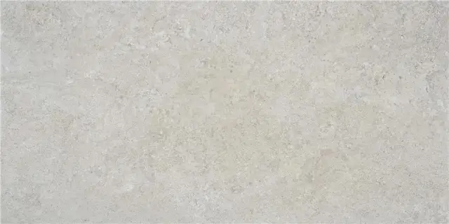 OREGON GREY MT 60X120