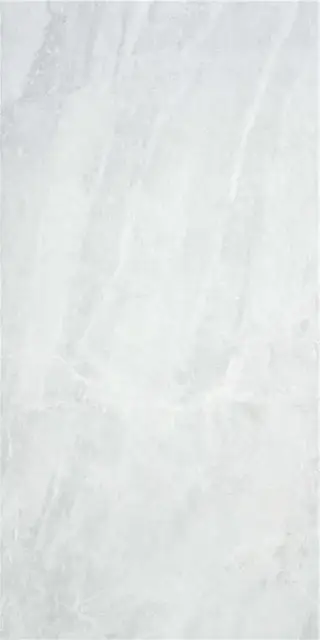 SUBLIME WHITE MT 60X120