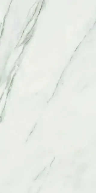 CALACATTA SUPERWHITE 60X120