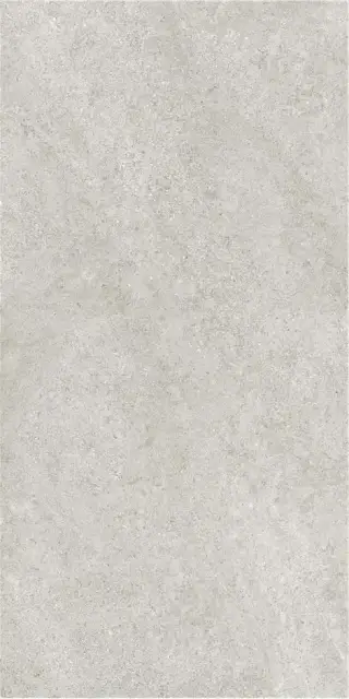 ARENITE PEARL MT 60X120