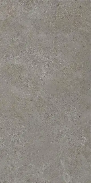 ARENITE DARK GREY MT 60X120