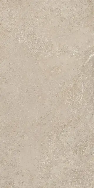 ARENITE NATURAL MT 60X120