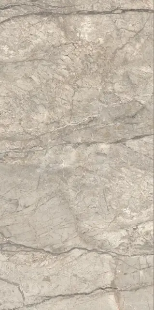 ANIMA FUTURA AMAZING SILVER 60X120 LISCIO MATT