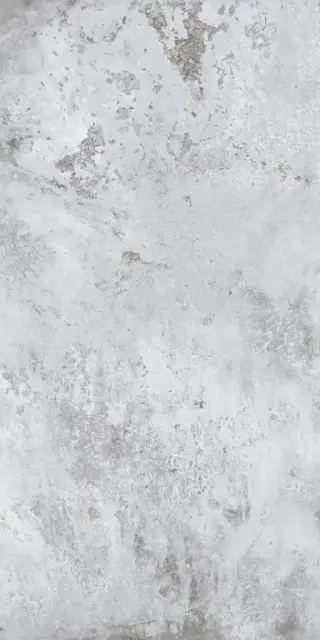 ALCHEMY ARGENT 60X120 RT