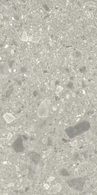 PORTRAITS BRERA 60X120 RT