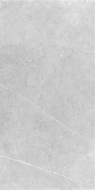 NORTHON LIGHT GREY MT 60X120