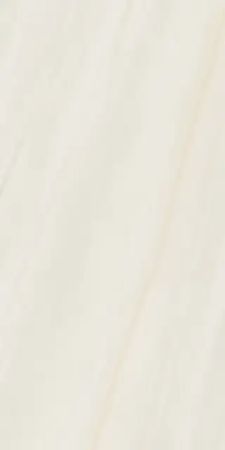 ANIMA WONDER SNOW 60X120 LISCIO MATT