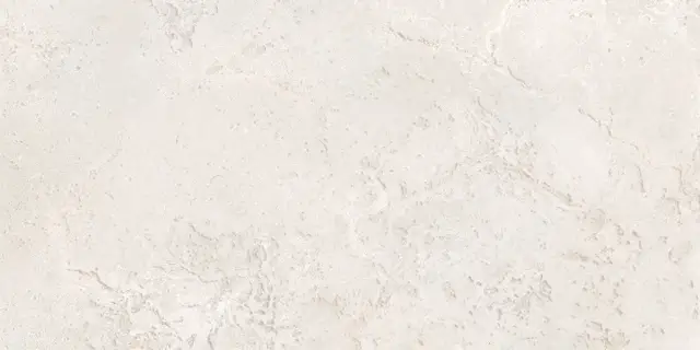 Haven Ivory Matt 60x120