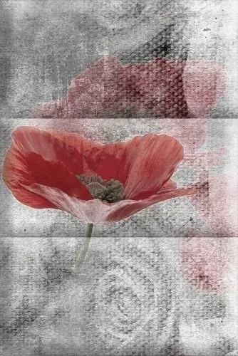 Composicion Opio A 15х22.5